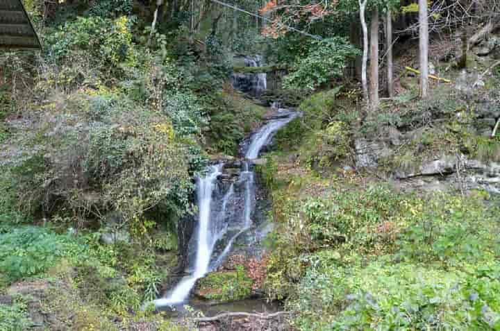 �C�z���J�̑�E���ʂ���